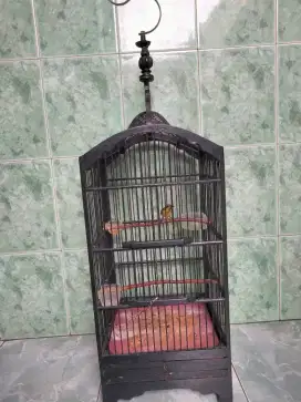 Dijual fulset kandang am burungnya