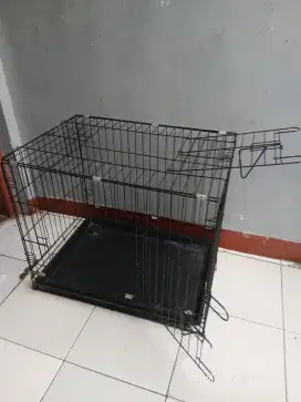 Kandang Hewan, Kucing Dan Hewan Lain