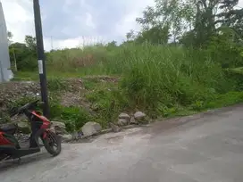 Tanah Jangli Semarang Dkt Undip dan RSND