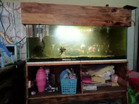 Aquarium fullset