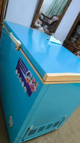 Freezer Domo Besar