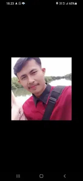 Saya sedang mencari pekerjaan sebagai driver pribadi