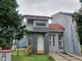 Legenda Wisata Zona Van Gogh Posisi Hook Jual Cepat