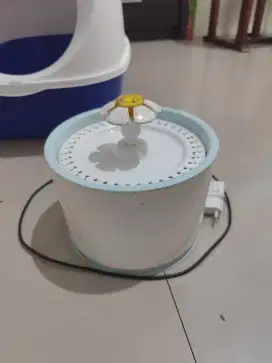 Dispenser minum kucing lucu