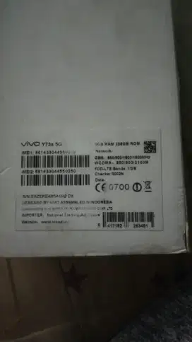 Vivo y73s blue ice 8G/256G