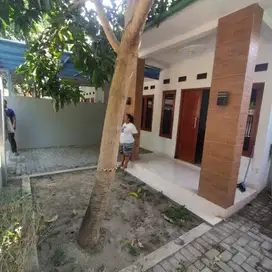 Dijual Cepat Rumah Dengan Halaman Luas