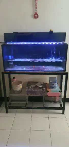 Aquarium full set