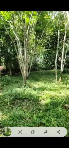 Dijual Tanah Siap Bangun 996 m, Yogyakarta, Pinggir Jalan, Sejuk