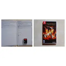 Cartridge nintendo switch dragon dogma