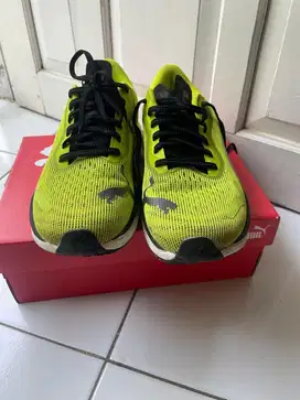 JUAL SEPATU RUN ORI