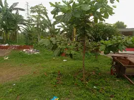 Tanah Kavling Murah 2,7Km Stasiun Cilebut  Cocok Untuk Investasi