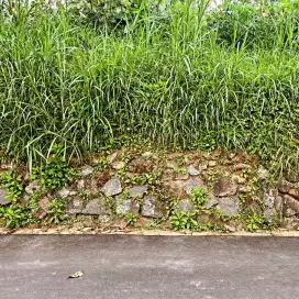 Tanah siap bangun view menarik Kemuning Ngargoyoso  Karanganyar