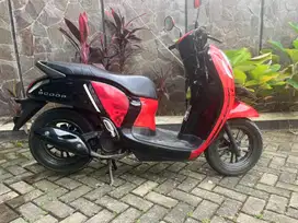 Honda Scoopy Sporty th 2021