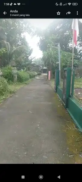 Tanah Murah 1704m2 Dkt RS Rizky Amalia  Galur  K Progo