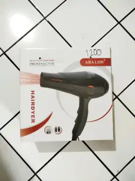 Hairdryer Abalon