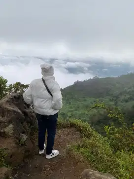 Saya cari kerja
