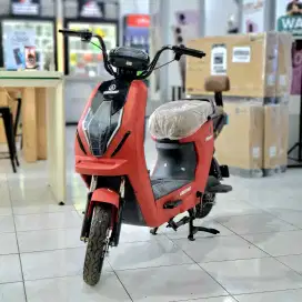 EXOTIC X 660 TERBARU