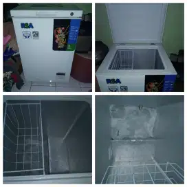 Freezer RSA 100lt