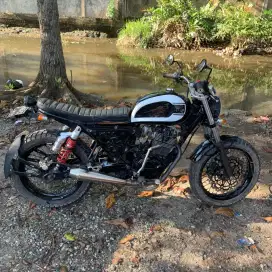 Japstyle basic tiger