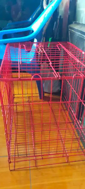 Kandang kucing warna merah