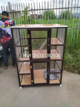 Kandang kucing dengan desain yang mewah