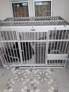 Dijual kandang bekas Golden