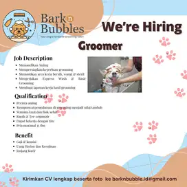 Lowongan Pet Groomer dan Jr. Pet Stylist