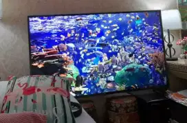 Tv LG 60 inc smart tv