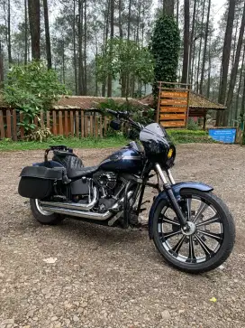 Harley Softail nighttrain anniversary karburator
