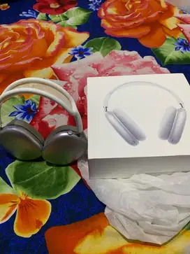 airpod max lewel 1
