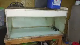 Aquarium 80 cm dan 60 cm