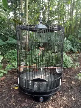 MURAI BATU PAMULANG