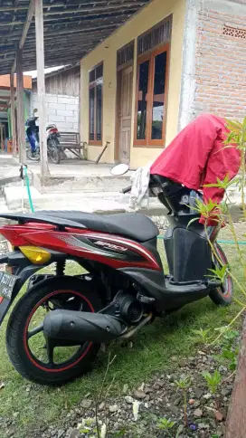 Spacy karbu 2011