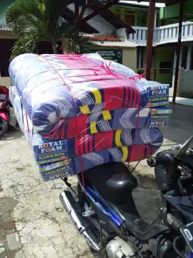 kasur busa royal