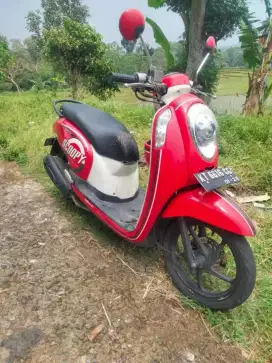 Scopy komplit pjk off plt kalimantan timur
