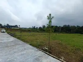 Kavlingan murah banget di puncak bogor