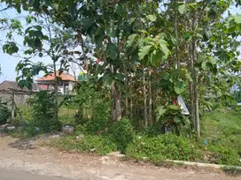 Tanah murah Pakis Malang di Genitri Tirtomoyo Dijual cpt B.U dkt Araya