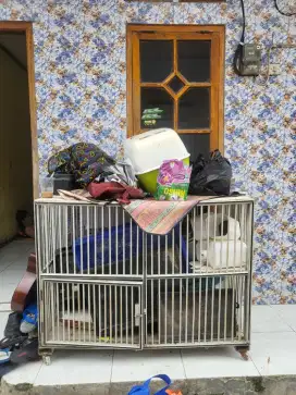 Kandang kucing besar