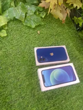 Iphone 12 256gb layar gedeh baru