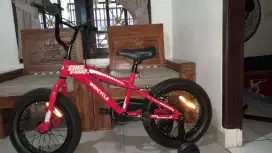 Sepeda Anak Wimcycle