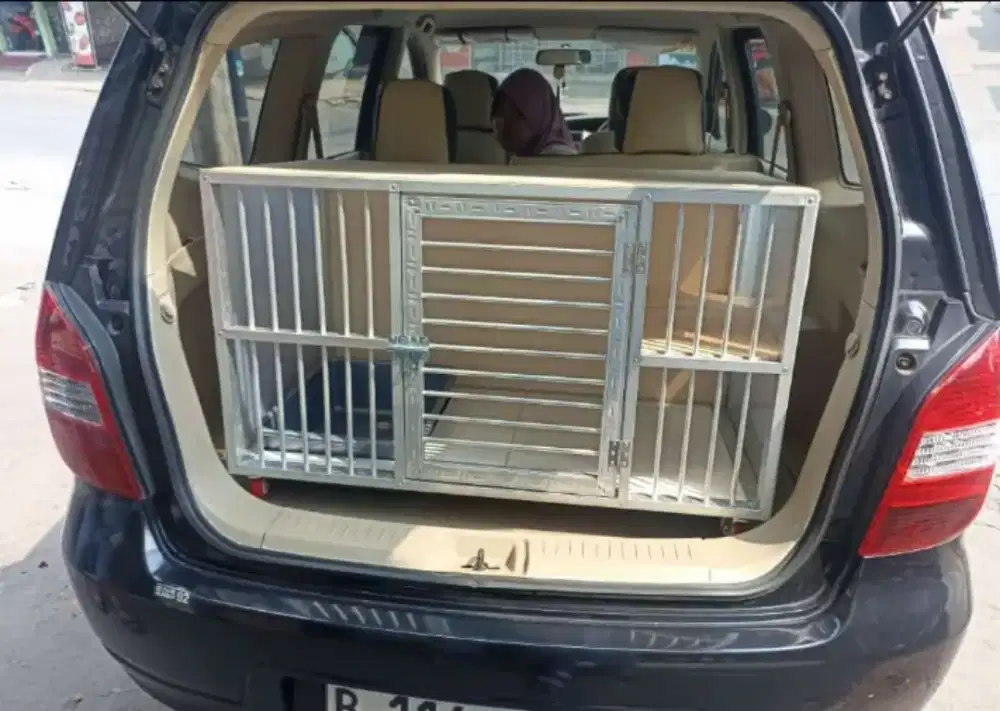 Persia jantan 1.5 thn