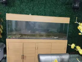 Aquarium Kaca Tebal 10 mm