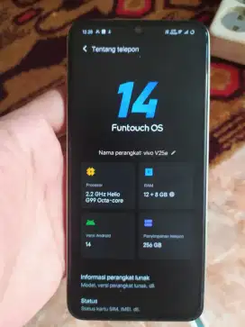 Vivo V25e RAM 12+8/256