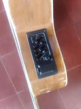 Fs guitar akustik
