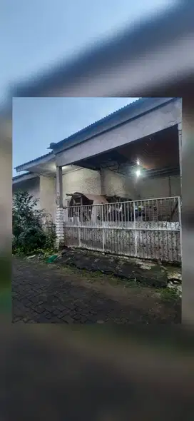 Jual rumah 24 m