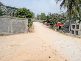 Dijual Tanah Padat Area Klapanunggal dkt Indocemen