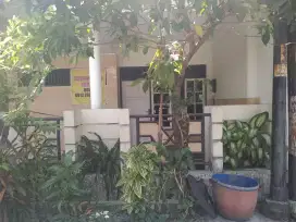 Dikontrakkan rumah
