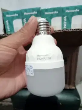 Lampu hannoch 12 wat