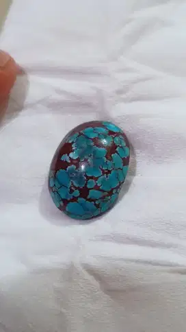 Pirus Persia Biru ceplok kuro mewah