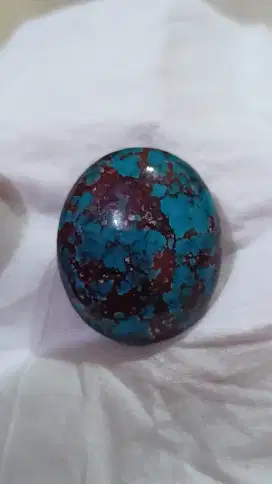 Pirus Persia Biru ceplok kuro jumbo jenong mewah